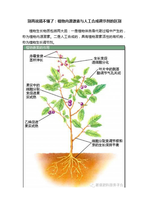 别再说搞不懂了：植物内源激素与人工合成调节剂的区别