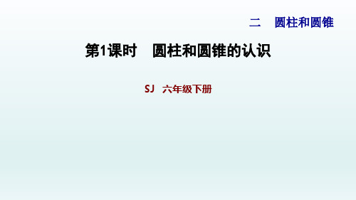 2020春苏教版数学六年级下册 第2单元 圆柱和圆锥-2.1 圆柱和圆锥的认识 习题