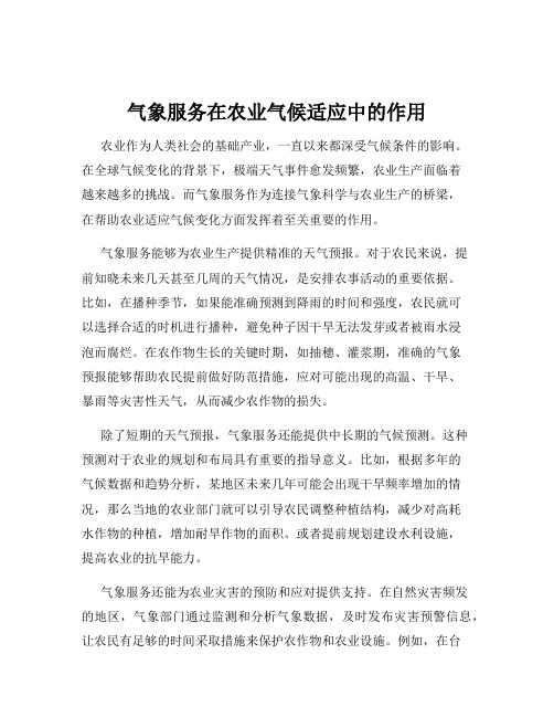 气象服务在农业气候适应中的作用