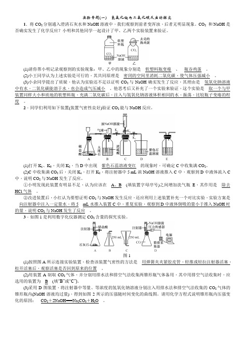 人教版化学九年级下册 实验专题(一)氢氧化钠与二氧化碳反应的探究 学案