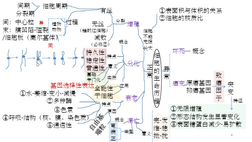 分子与细胞-思维导图