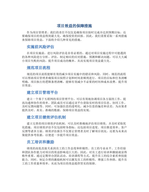 项目效益的保障措施