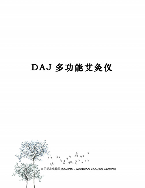 DAJ多功能艾灸仪