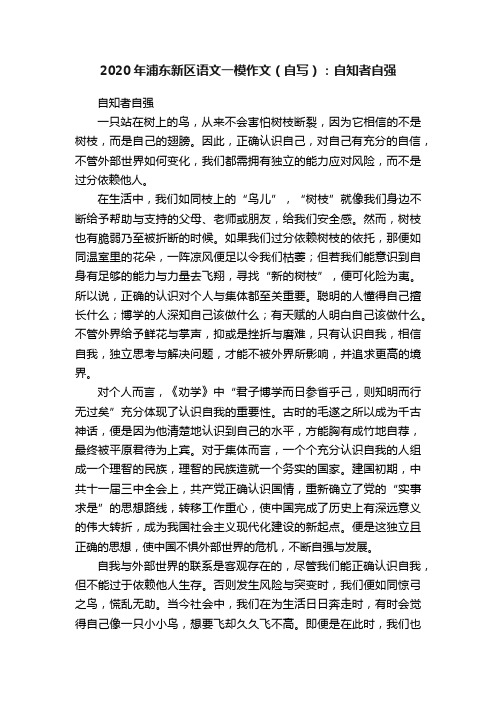 2020年浦东新区语文一模作文（自写）：自知者自强