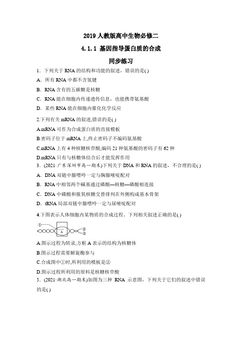 基因指导蛋白质的合成同步练习2022-2023学年高一下学期生物人教版必修2