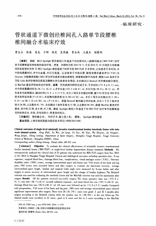 管状通道下微创经椎间孔入路单节段腰椎椎间融合术临床疗效要点