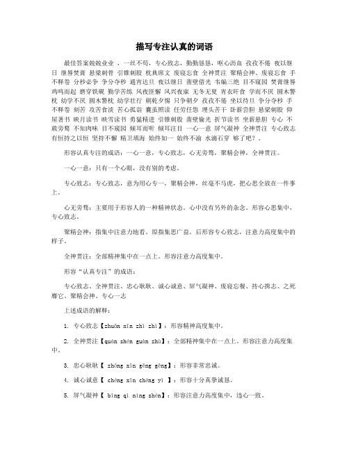 描写专注认真的词语