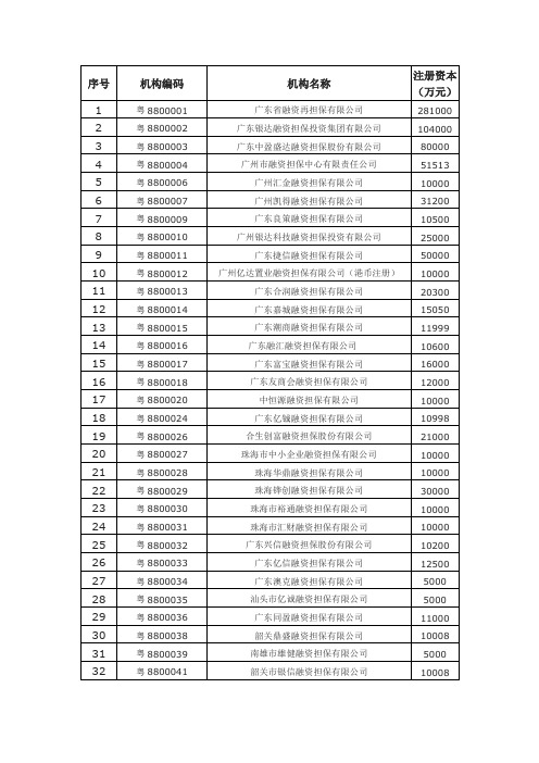 广东省融资担保公司名单