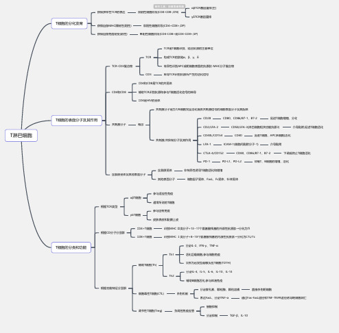 医学-T淋巴细胞思维导图-简单高清脑图_知犀
