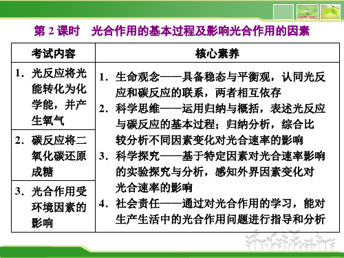  新浙科版 必修1 光合作用的基本过程及影响光合作用的因素 课件(63张)