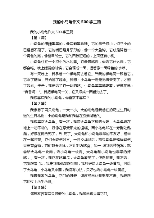 我的小乌龟作文500字三篇