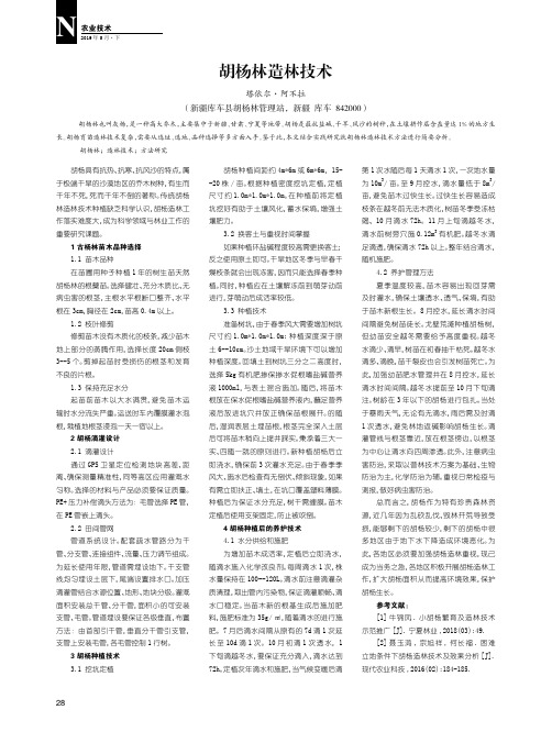 胡杨林造林技术