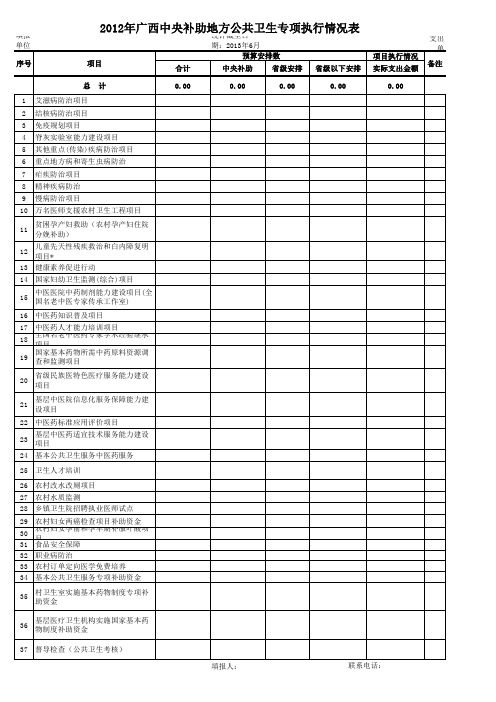 年度公共卫生项目执行情况表