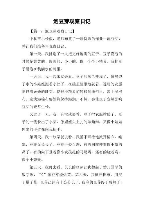 泡豆芽观察日记