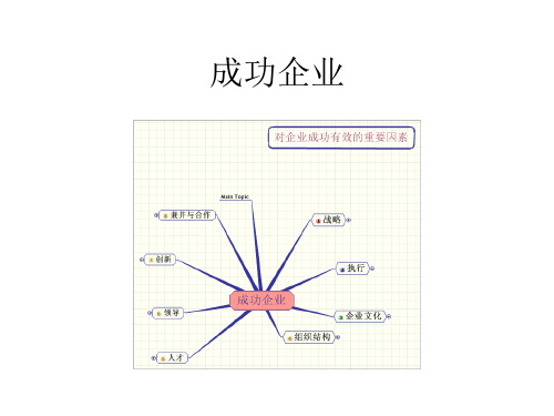 成功企业的重要因素