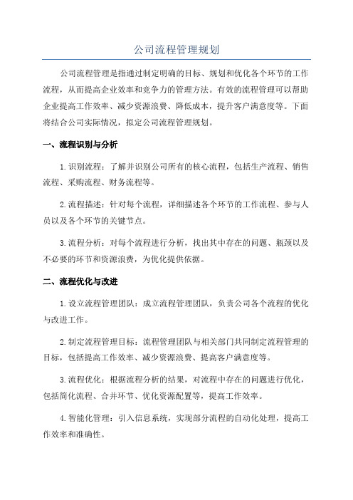 公司流程管理规划