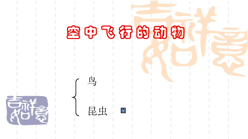 [八年级生物课件]空中飞行的动物1 课件