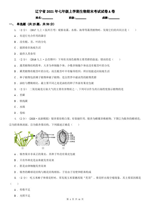 辽宁省2021年七年级上学期生物期末考试试卷A卷