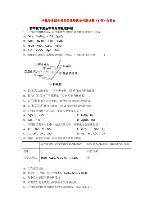 中考化学生活中常见的盐培优单元测试题(B卷)含答案