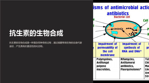 《抗生素的生物合成》课件