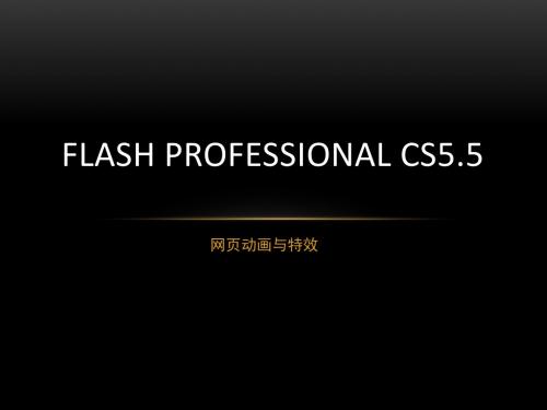 Flash professional cs5.5