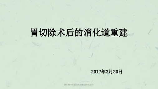 胃切除术后的消化道重建方式简介课件