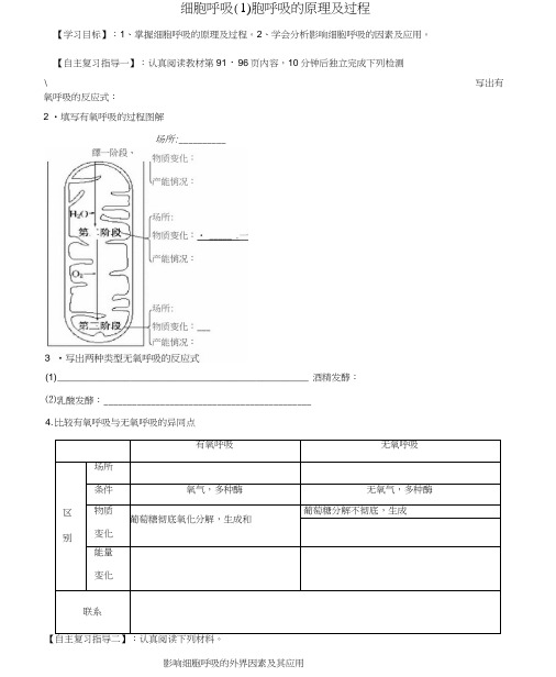 高三生物细胞呼吸复习学案1