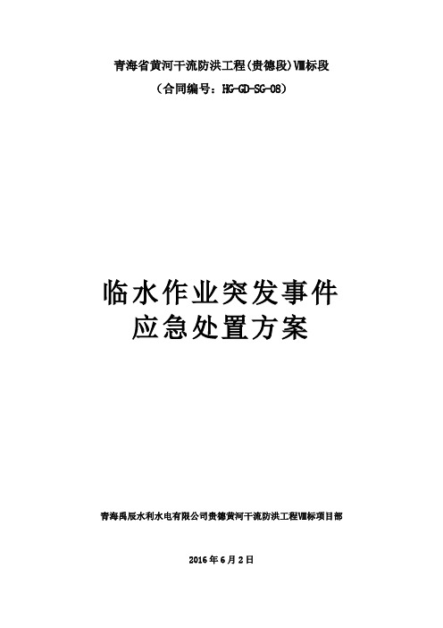 临水作业突发事件应急处置方案  最终版