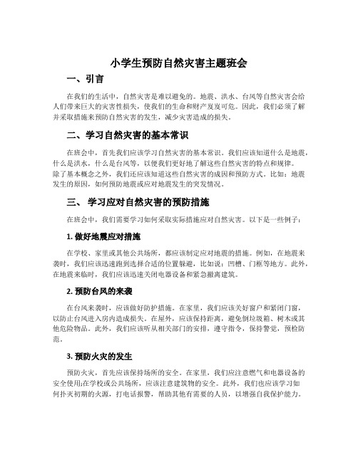 小学生预防自然灾害主题班会