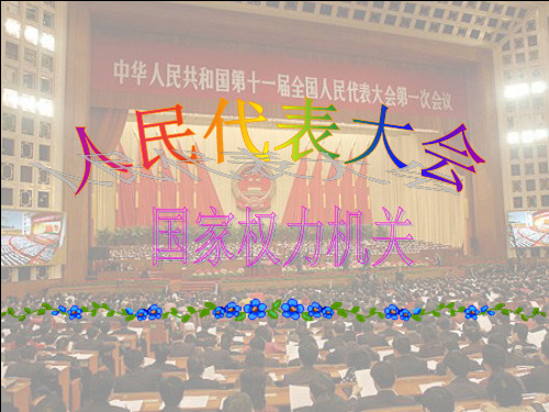 人民代表大会(公开课)