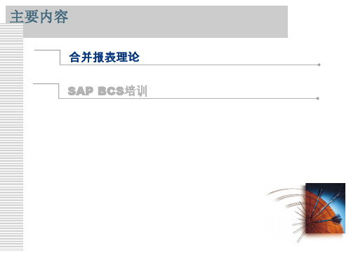 SAP报表合并理论 ECCS实例教程