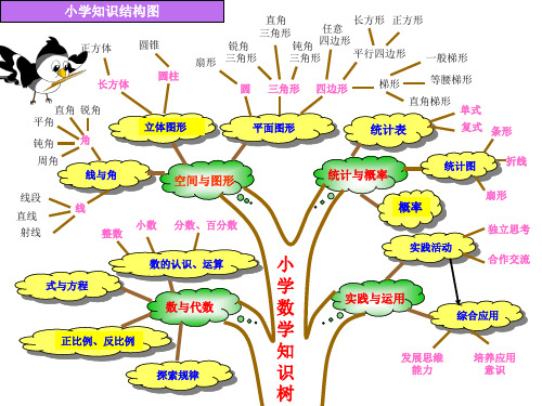 六年级下册数学知识树