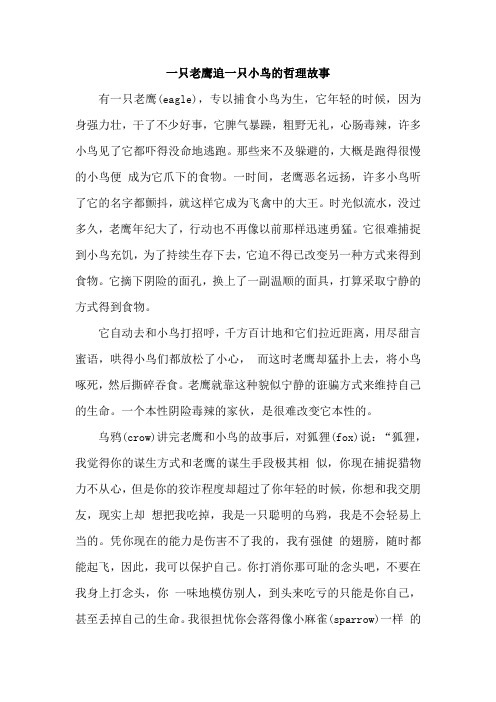 一只老鹰追一只小鸟的哲理故事