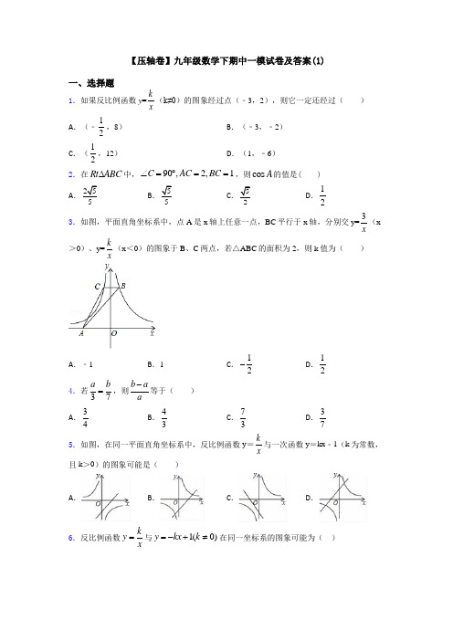 【压轴卷】九年级数学下期中一模试卷及答案(1)