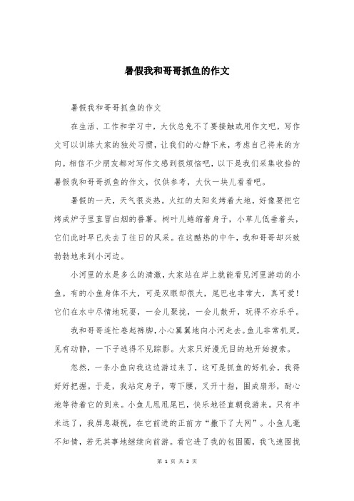 暑假我和哥哥抓鱼的作文