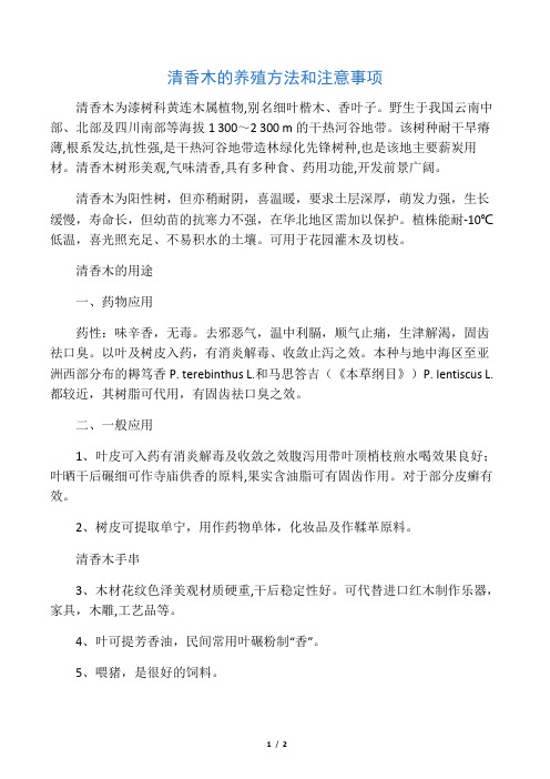 清香树的养殖方法与注意事项