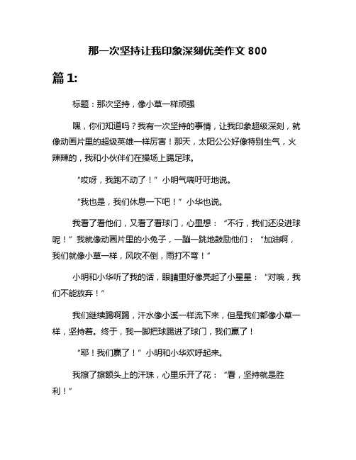 那一次坚持让我印象深刻优美作文800