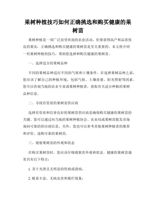 果树种植技巧如何正确挑选和购买健康的果树苗