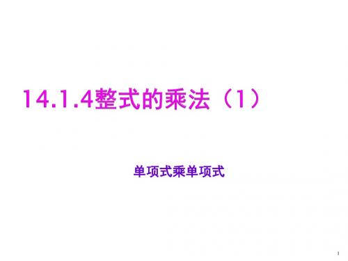 14.1.4整式的乘法(1).ppt1