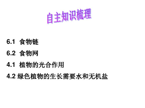 苏科版七年级生物上册第6、4章复习：绿色植物是有机物的生产者、生物之间的食物关系