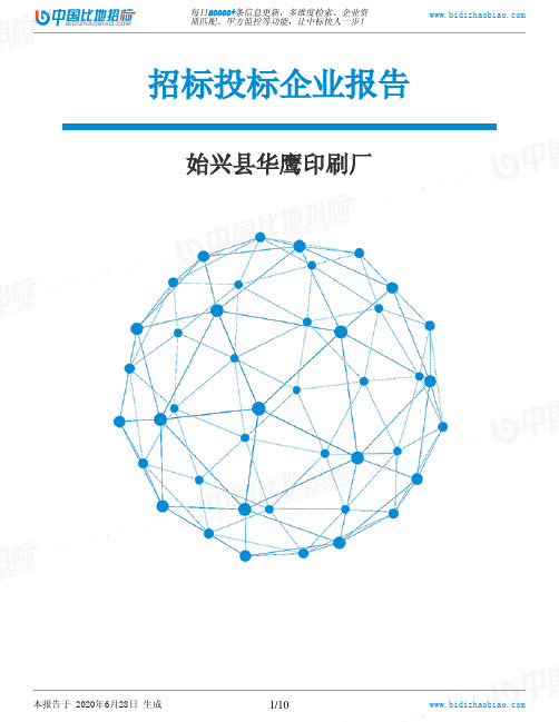 始兴县华鹰印刷厂-招投标数据分析报告