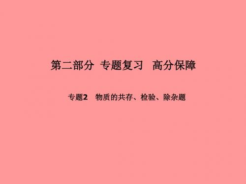 聊城中考化学总复习专题2物质的共存检验除杂题课件鲁教版