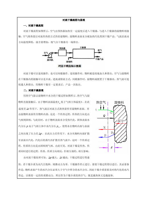 对流干燥流程与原理