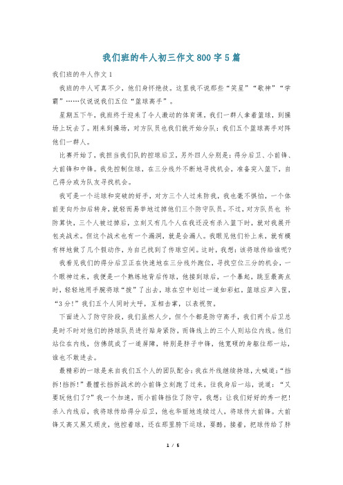 我们班的牛人初三作文800字5篇