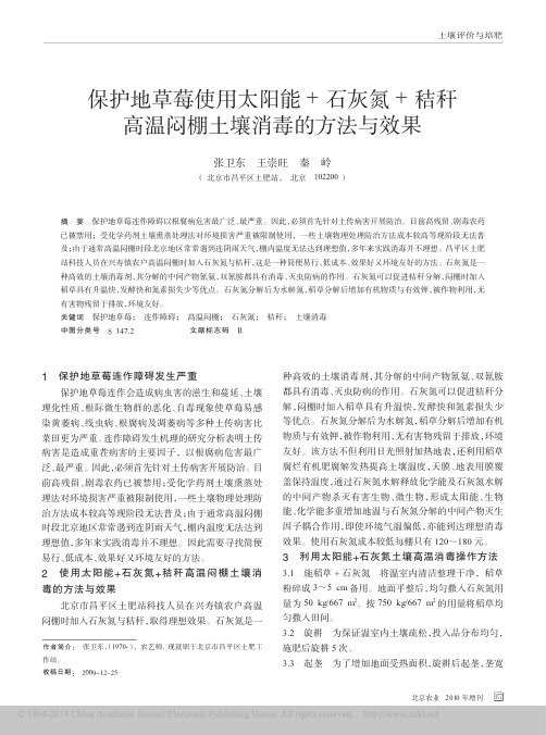 保护地草莓使用太阳能_石灰氮_秸秆高温闷棚土壤消毒的方法与效果_张卫东