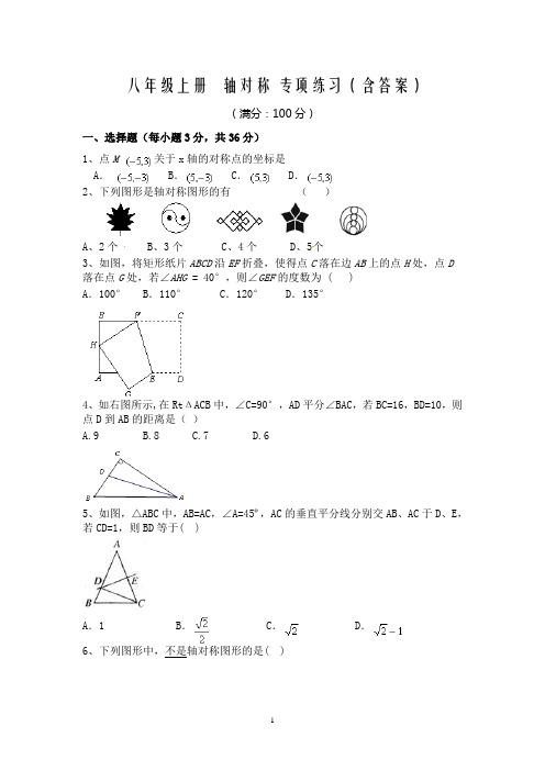 八年级上册  轴对称 专项练习(含答案)