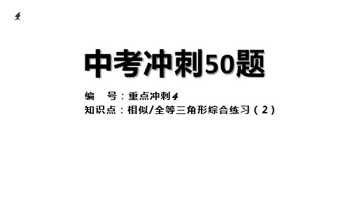 中考专题训练 相似和全等三角形综合练习