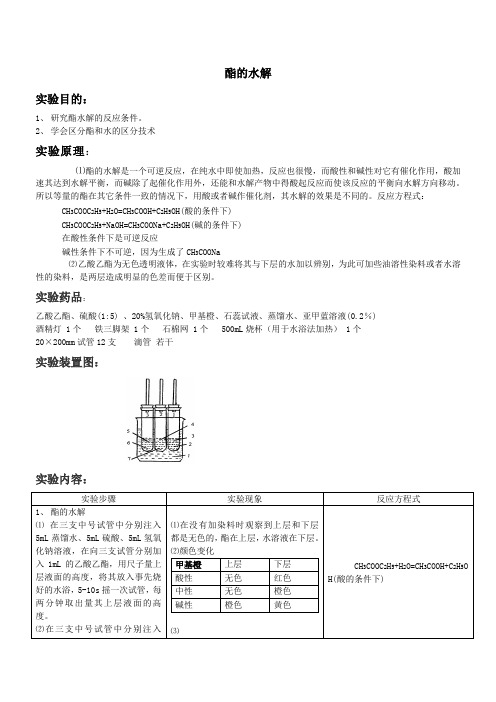 酯的水解