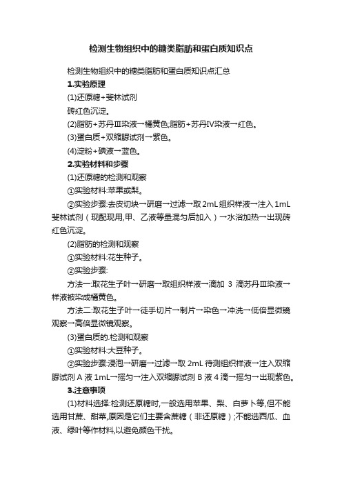 检测生物组织中的糖类脂肪和蛋白质知识点