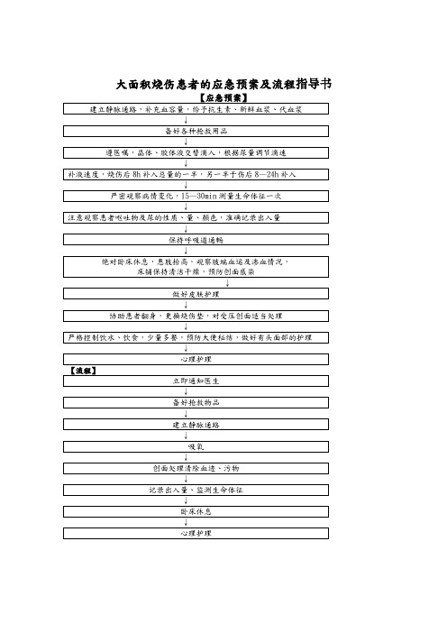 大面积烧伤患者的应急预案及流程指导书